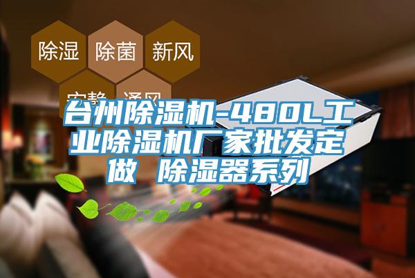 台州MR.好色破解版-480L工业MR.好色破解版厂家批发定做 除湿器系列