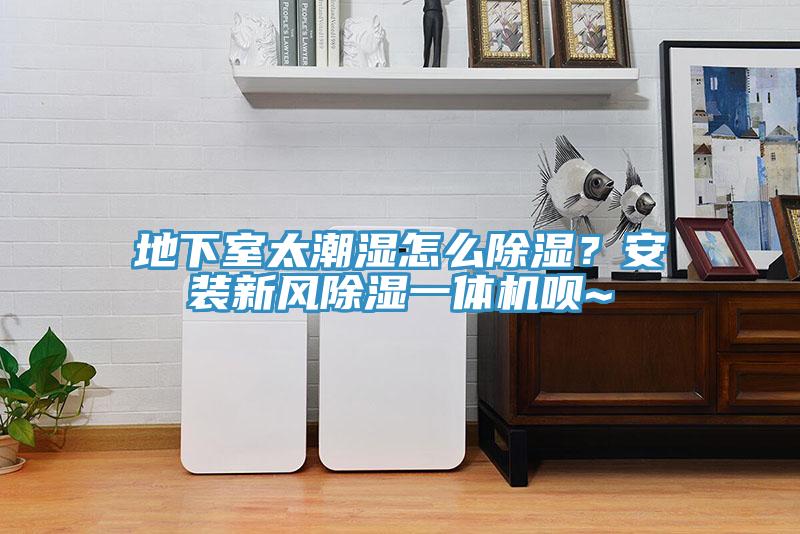 地下室太潮湿怎么除湿？安装新风除湿一体机呗~