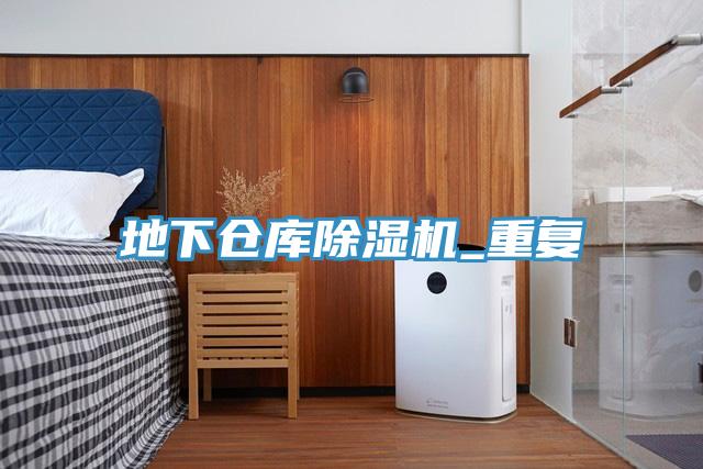地下仓库MR.好色破解版_重复
