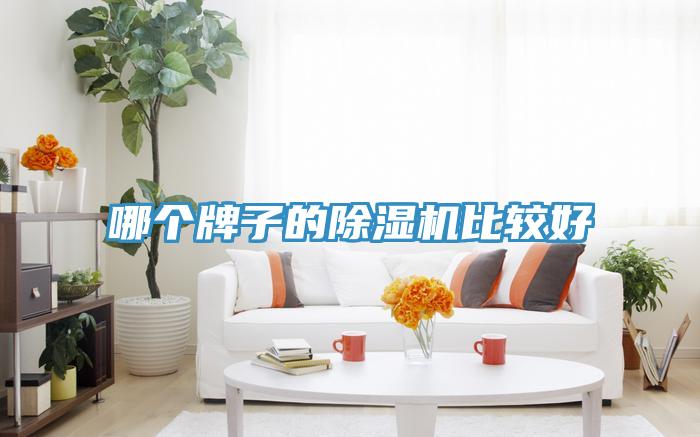哪个牌子的MR.好色破解版比较好