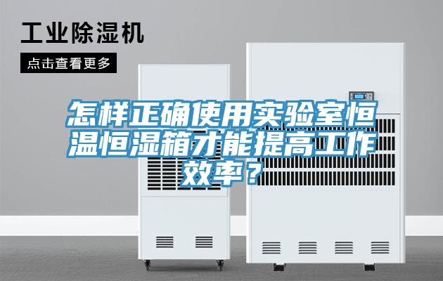 怎样正确使用实验室恒温恒湿箱才能提高工作效率？