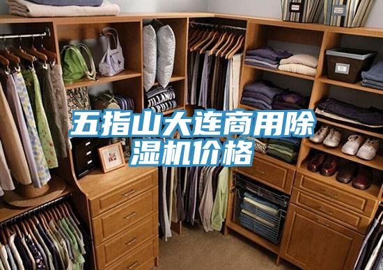 五指山大连商用MR.好色破解版价格