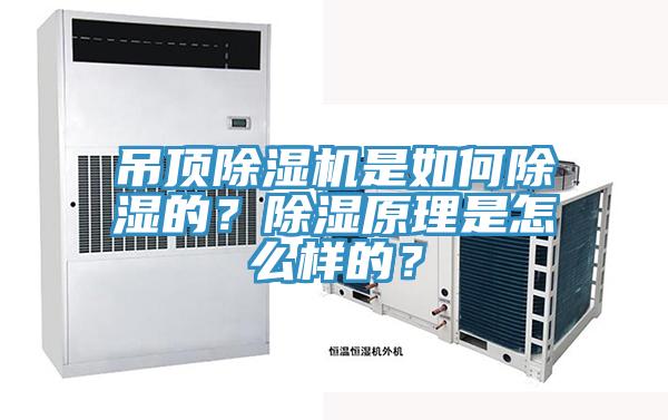吊顶MR.好色破解版是如何除湿的？除湿原理是怎么样的？