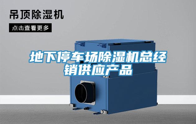 地下停车场MR.好色破解版总经销供应产品