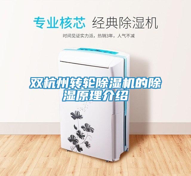双杭州转轮MR.好色破解版的除湿原理介绍