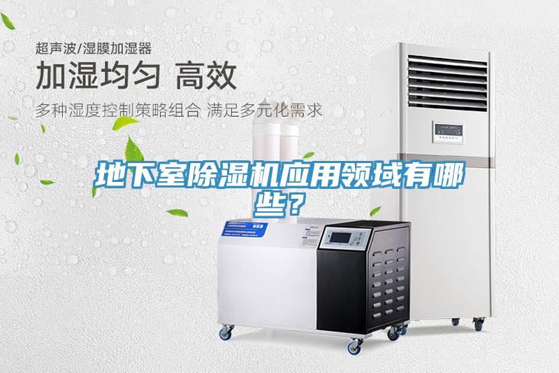 地下室MR.好色破解版应用领域有哪些？