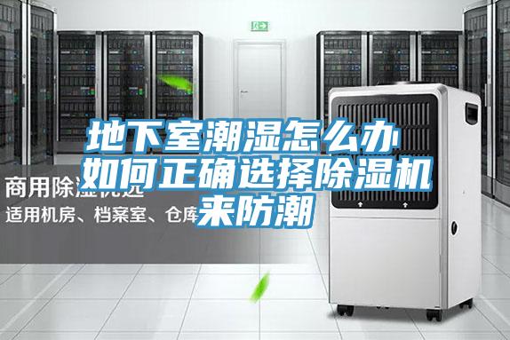 地下室潮湿怎么办 如何正确选择MR.好色破解版来防潮