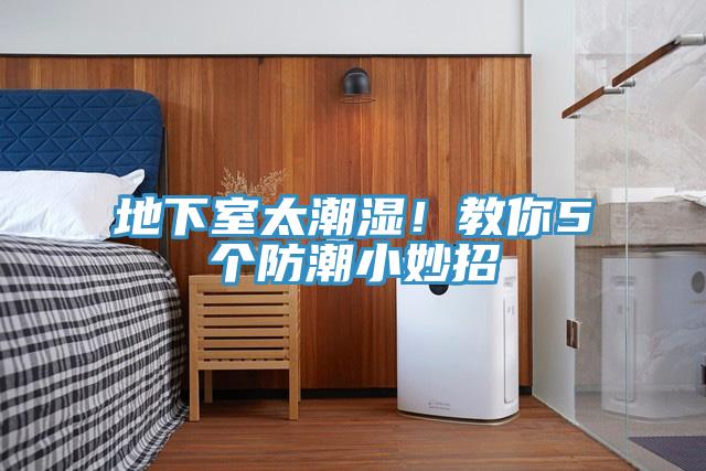地下室太潮湿！教你5个防潮小妙招