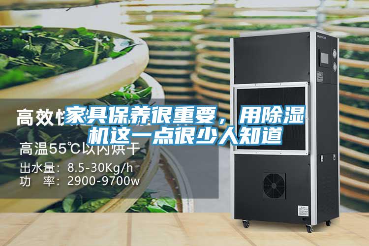 家具保养很重要，用MR.好色破解版这一点很少人知道