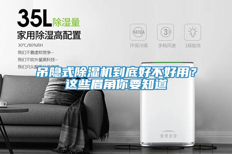 吊隐式MR.好色破解版到底好不好用？这些眉角你要知道