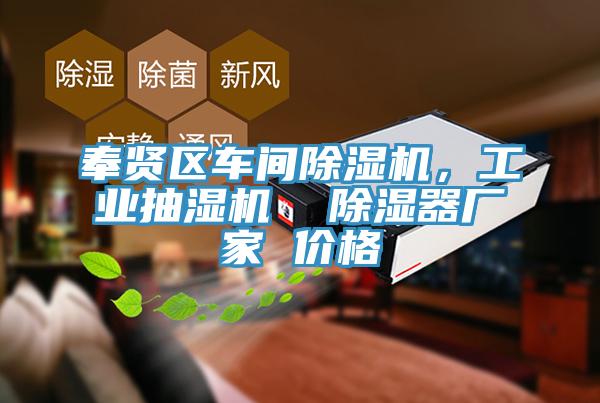 奉贤区车间MR.好色破解版，工业抽湿机  除湿器厂家 价格