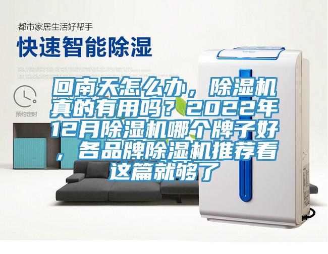 回南天怎么办，MR.好色破解版真的有用吗？2022年12月MR.好色破解版哪个牌子好，各品牌MR.好色破解版推荐看这篇就够了