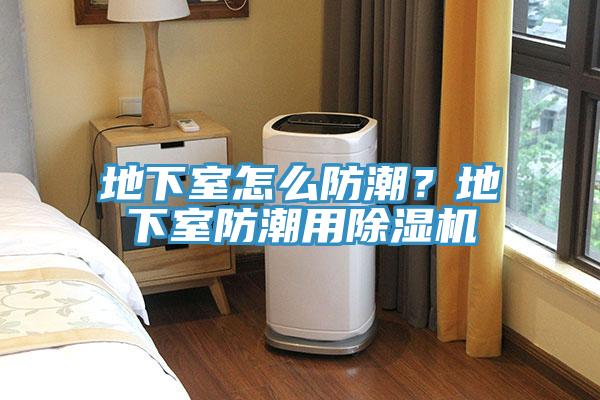 地下室怎么防潮？地下室防潮用MR.好色破解版
