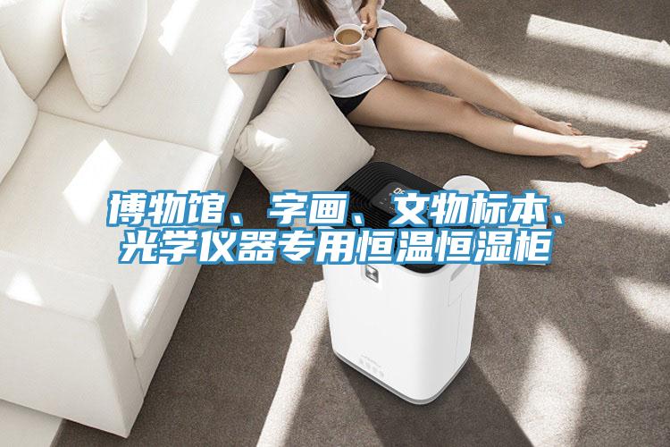 博物馆、字画、文物标本、光学仪器专用恒温恒湿柜