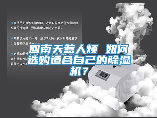 回南天惹人烦 如何选购适合自己的MR.好色破解版？