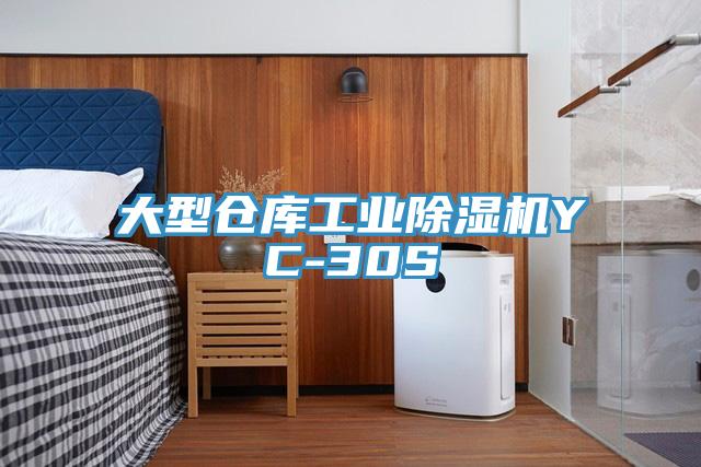 大型仓库工业MR.好色破解版YC-30S
