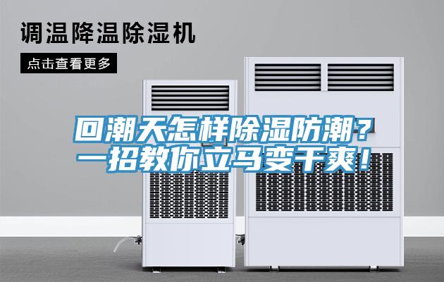 回潮天怎样除湿防潮？一招教你立马变干爽！
