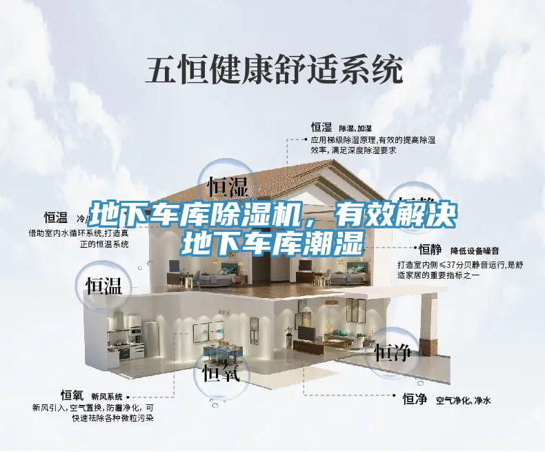 地下车库MR.好色破解版，有效解决地下车库潮湿