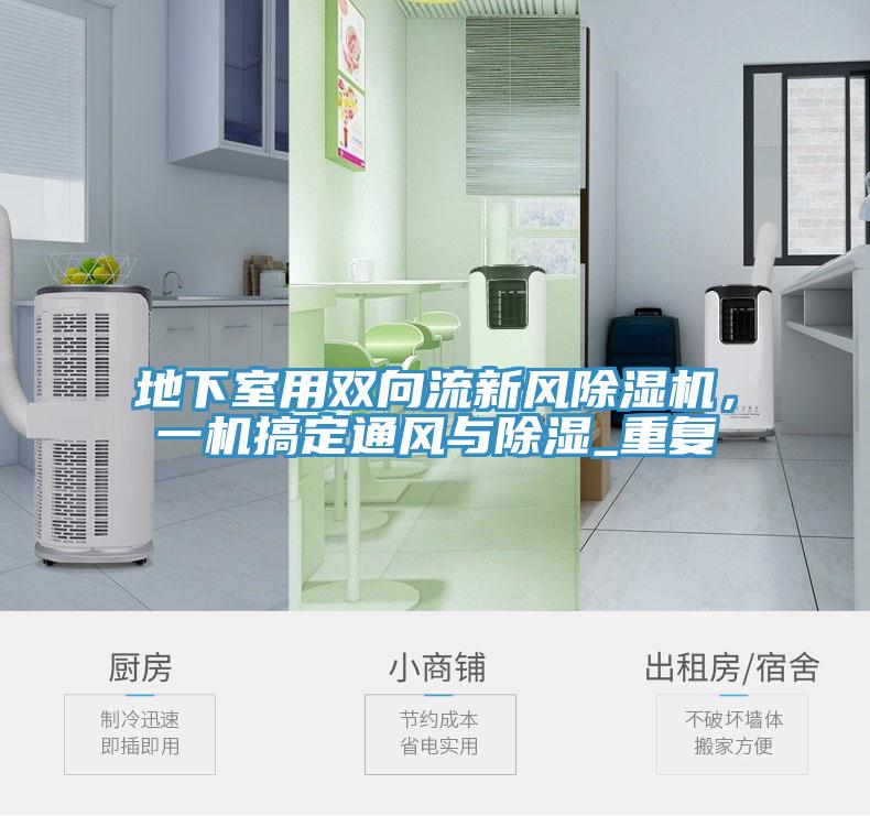 地下室用双向流新风MR.好色破解版，一机搞定通风与除湿_重复