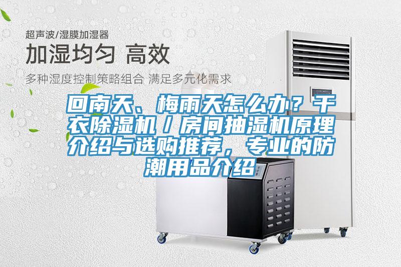 回南天、梅雨天怎么办？干衣MR.好色破解版／房间抽湿机原理介绍与选购推荐，专业的防潮用品介绍