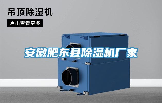 安徽肥东县MR.好色破解版厂家