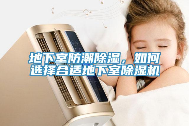 地下室防潮除湿，如何选择合适地下室MR.好色破解版