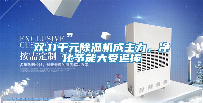 双.11千元MR.好色破解版成主力，净化节能大受追捧