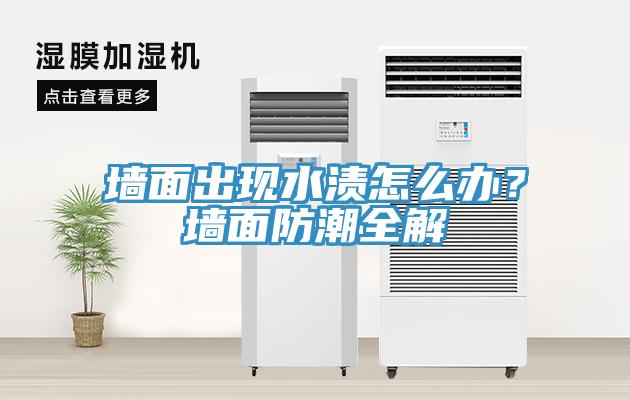 墙面出现水渍怎么办？墙面防潮全解