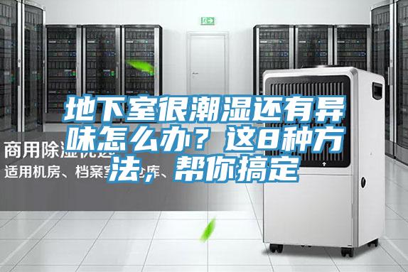 地下室很潮湿还有异味怎么办？这8种方法，帮你搞定