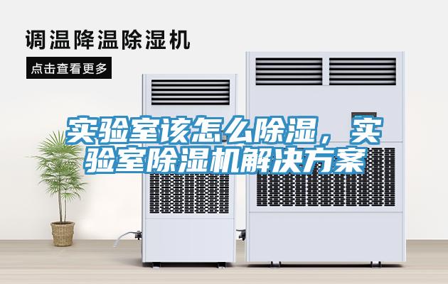 实验室该怎么除湿，实验室MR.好色破解版解决方案
