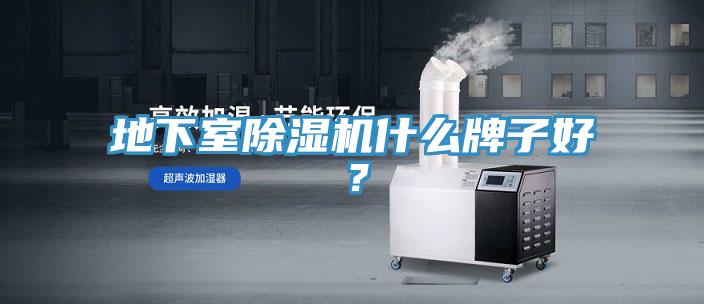 地下室MR.好色破解版什么牌子好？