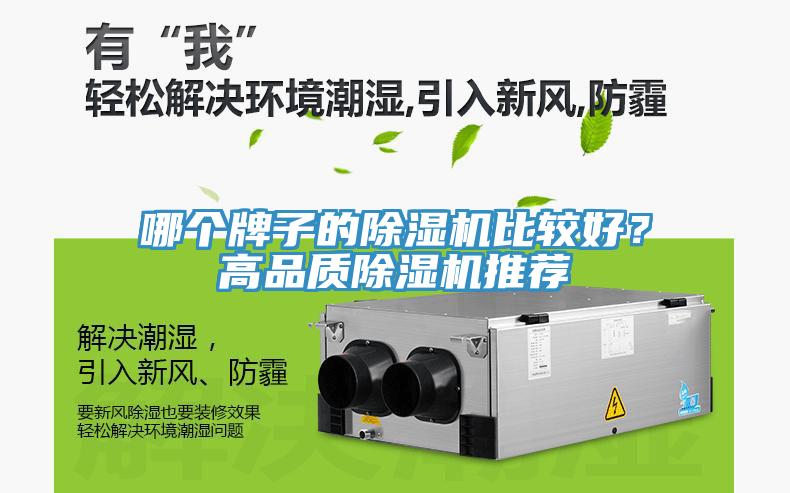 哪个牌子的MR.好色破解版比较好？高品质MR.好色破解版推荐
