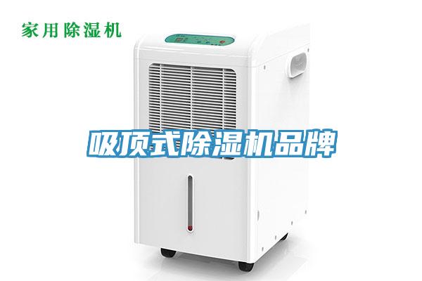 吸顶式MR.好色破解版品牌