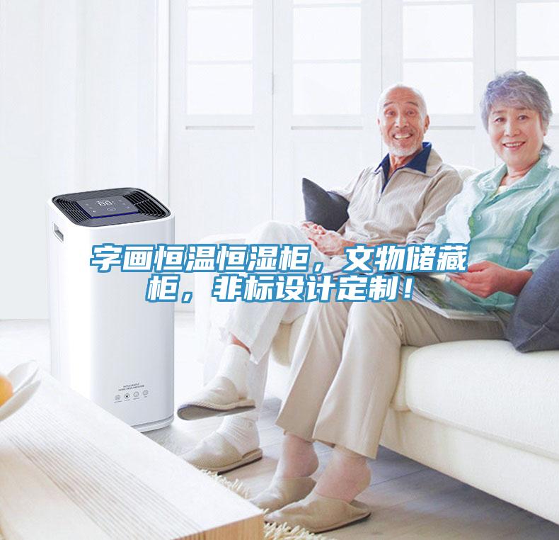 字画恒温恒湿柜，文物储藏柜，非标设计定制！