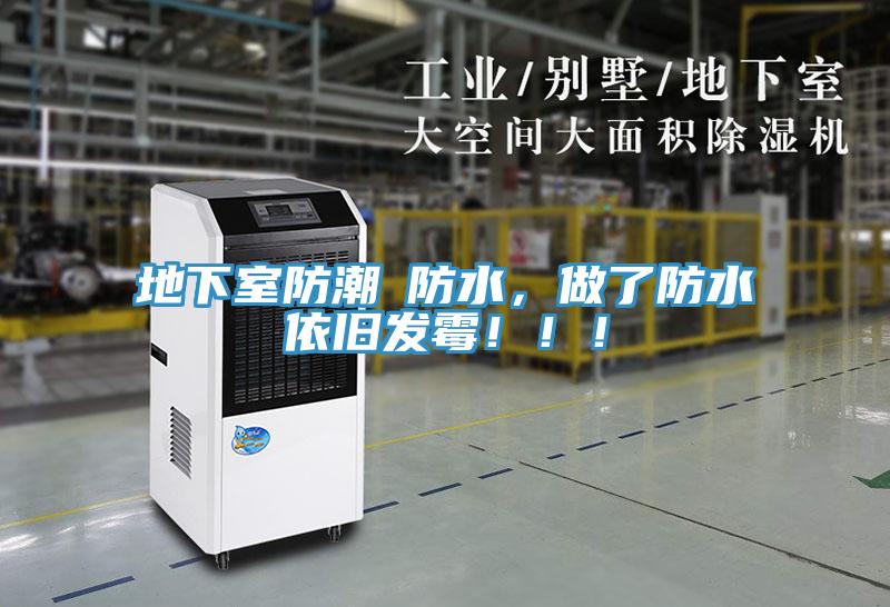 地下室防潮≠防水，做了防水依旧发霉！！！