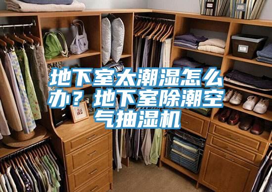 地下室太潮湿怎么办？地下室除潮空气抽湿机