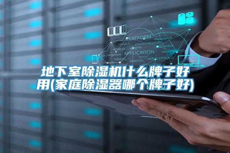 地下室MR.好色破解版什么牌子好用(家庭除湿器哪个牌子好)