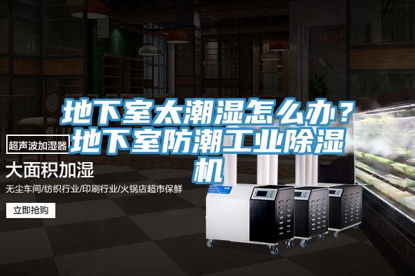 地下室太潮湿怎么办？地下室防潮工业MR.好色破解版