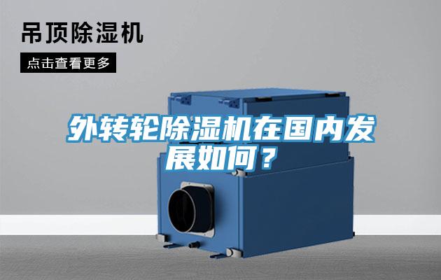 外转轮MR.好色破解版在国内发展如何？