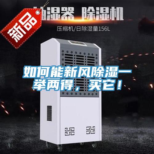如何能新风除湿一举两得，买它！