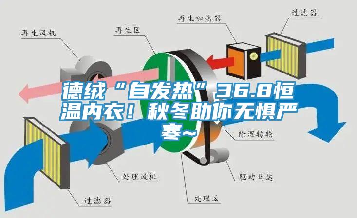德绒“自发热”36.8恒温内衣！秋冬助你无惧严寒~