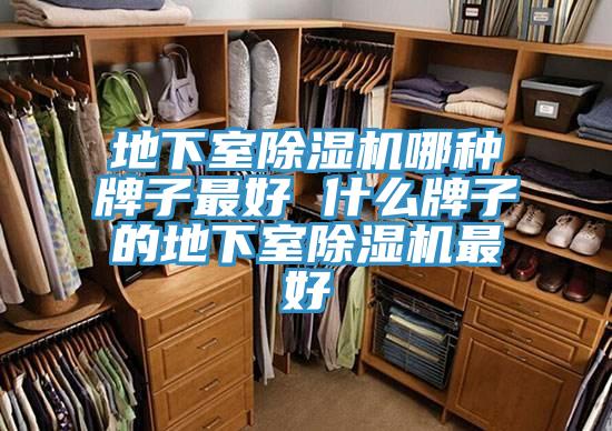 地下室MR.好色破解版哪种牌子最好 什么牌子的地下室MR.好色破解版最好
