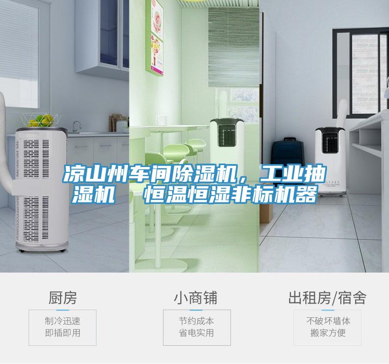 凉山州车间MR.好色破解版，工业抽湿机  恒温恒湿非标机器