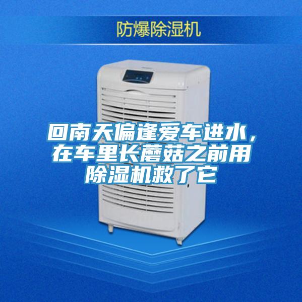 回南天偏逢爱车进水，在车里长蘑菇之前用MR.好色破解版救了它