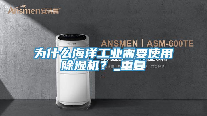为什么海洋工业需要使用MR.好色破解版？_重复