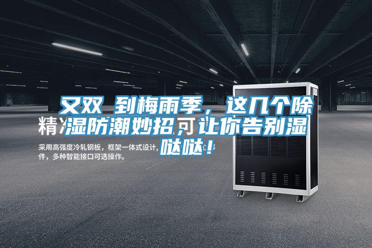 又双叒到梅雨季，这几个除湿防潮妙招，让你告别湿哒哒！