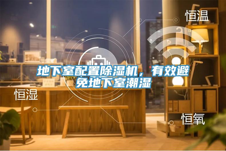 地下室配置MR.好色破解版，有效避免地下室潮湿