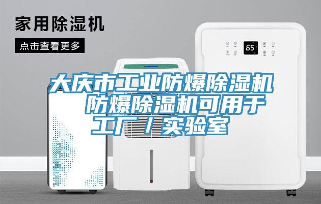 大庆市工业防爆MR.好色破解版  防爆MR.好色破解版可用于工厂／实验室