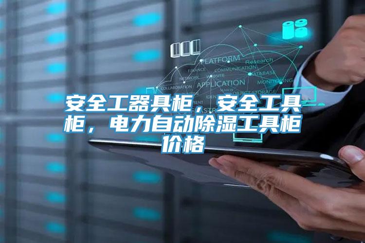 安全工器具柜，安全工具柜，电力自动除湿工具柜价格