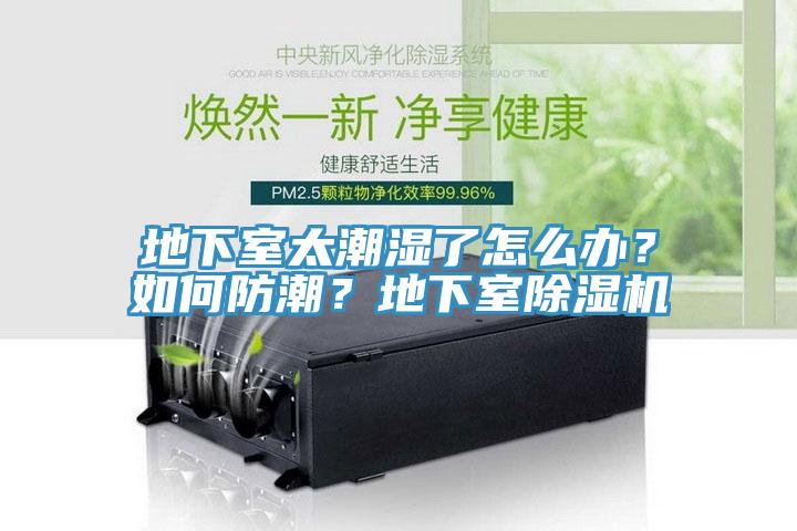 地下室太潮湿了怎么办？如何防潮？地下室MR.好色破解版